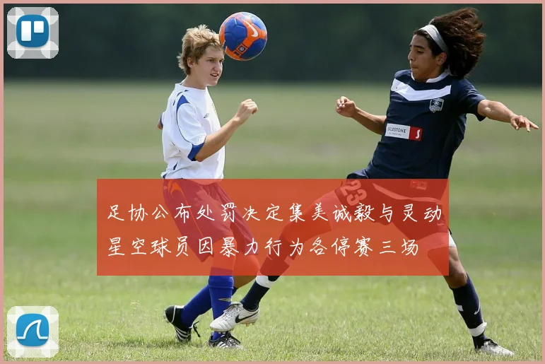 足协公布处罚决定集美诚毅与灵动星空球员因暴力行为各停赛三场